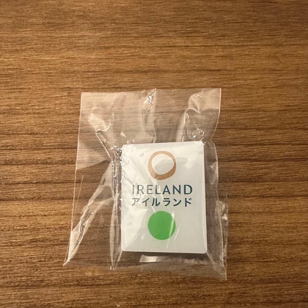 大阪　関西万博　アイルランド館 ピンバッジ