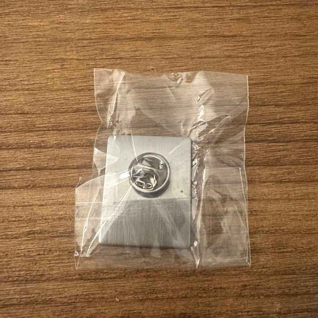 大阪　関西万博　アイルランド館 ピンバッジ