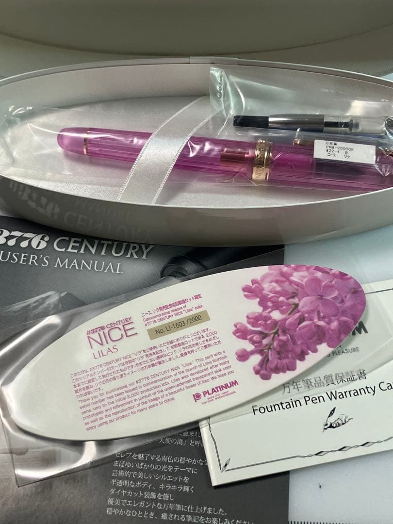 初期ロット　PLATINUM　#3776　センチュリー　ニース　リラ　B-nib
