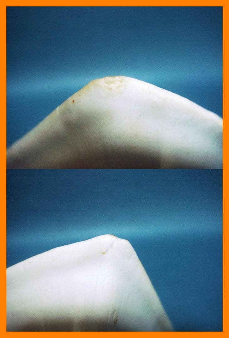 860『九谷 扇形鉢 向付』　/骨董品 古美術 古玩 アンティーク