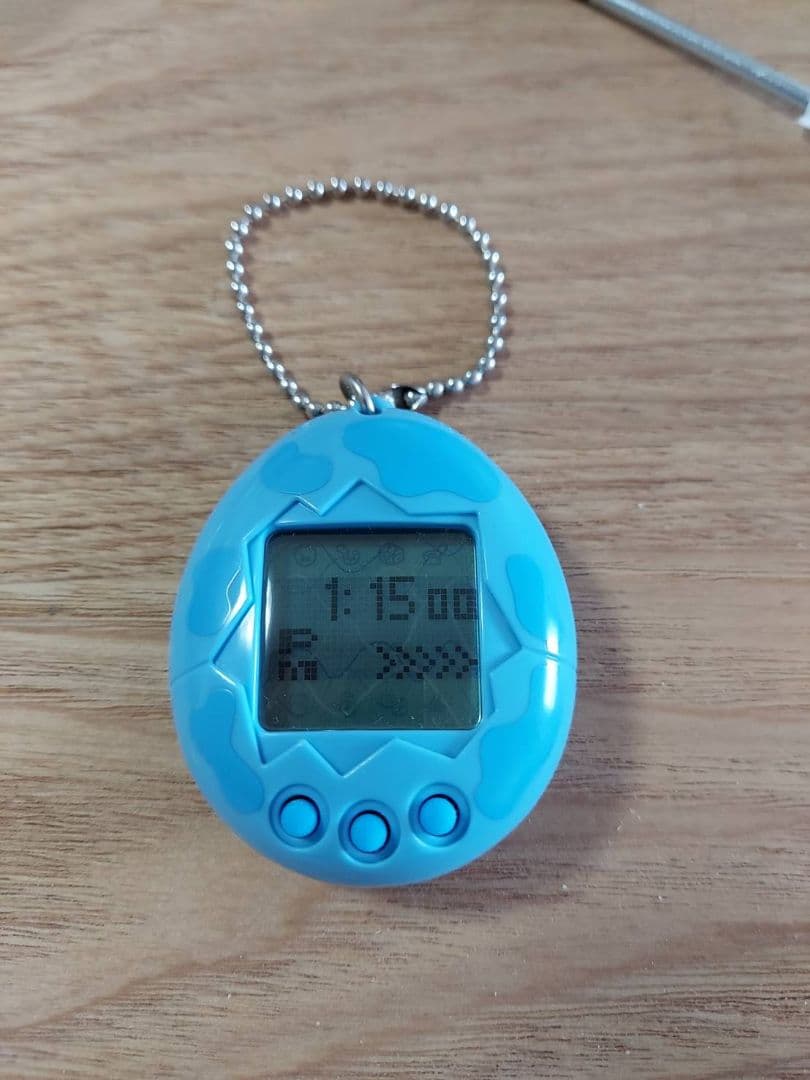 海で発見！　たまごっち　専用ケース　セット出品　オマケシール付き