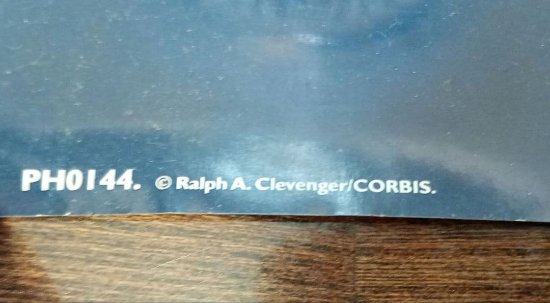 ralph a clevengers　氷山のポスターart美術グリーンランド自然