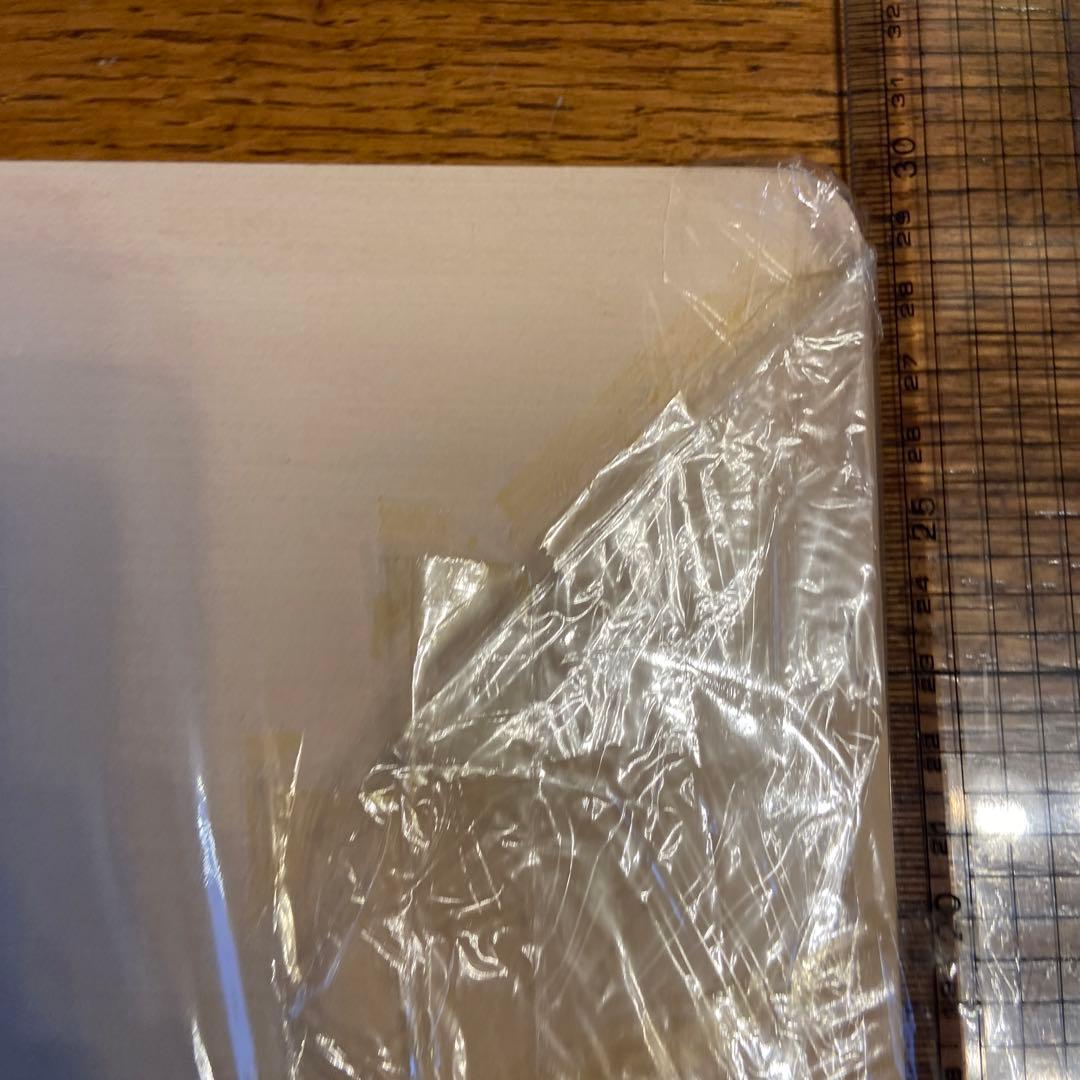 キッズプラザ大阪　ジグソーパズル　恐竜　木製