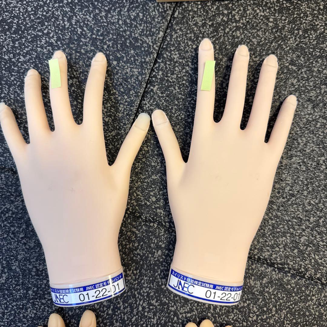 ネイル検定用ハンド　滝川 STモデルハンドセット2、練習用ハンドセット2、