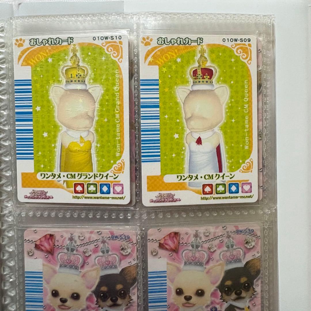 ワンタメ カード プレミアムパピブック コンプリート 限定カード 含 657枚