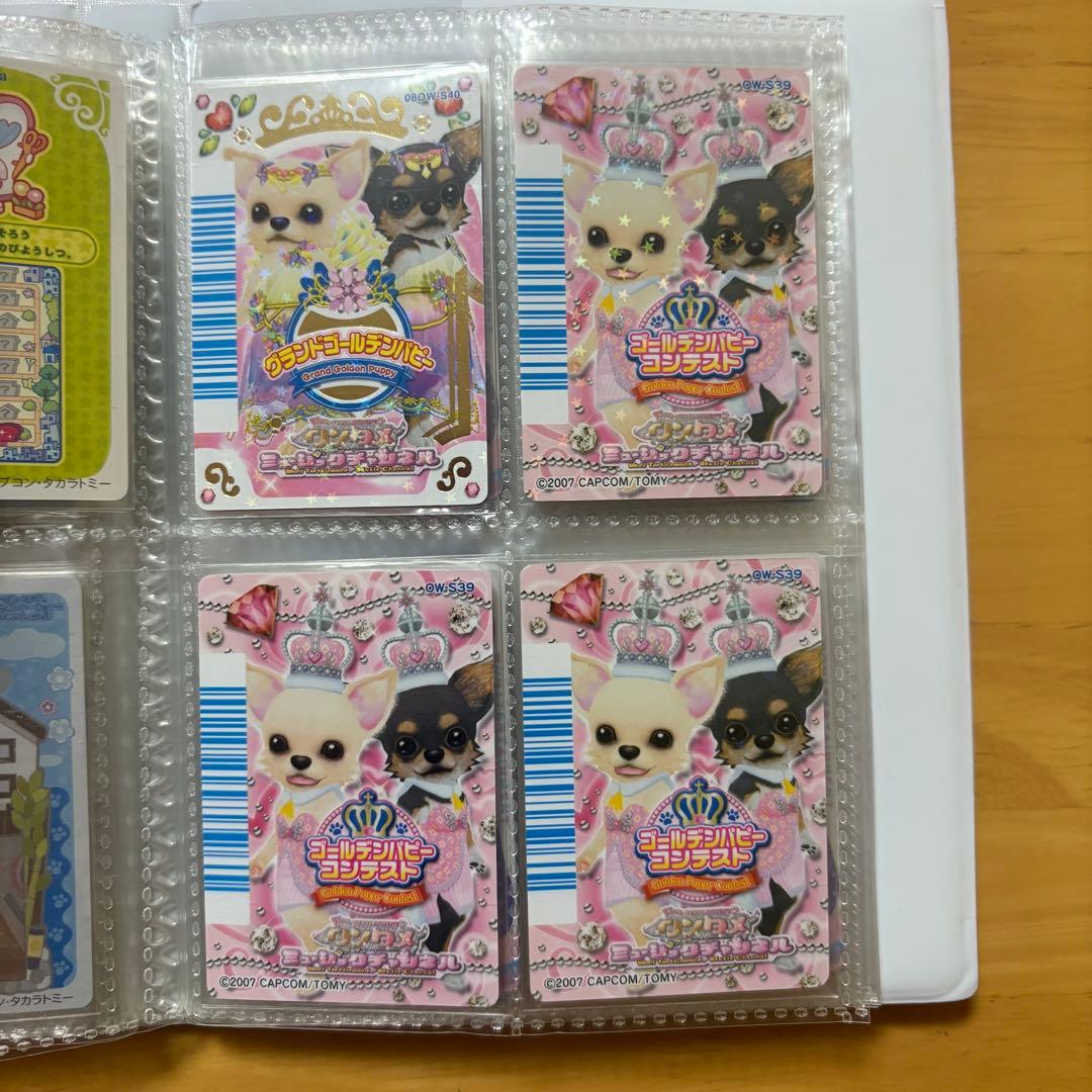 ワンタメ カード プレミアムパピブック コンプリート 限定カード 含 657枚