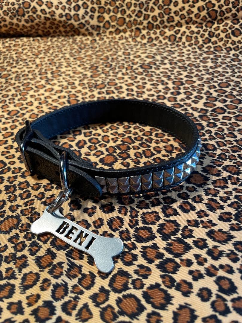 スタッズ　犬　首輪　小　ハーネス　本革