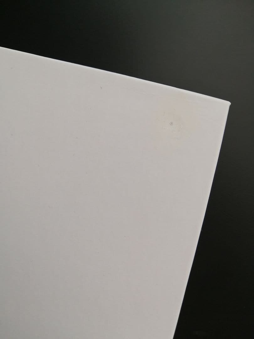 ナーワル（ナーヴァル）ノーティラス セファロポッド 万年筆　Fサイズ