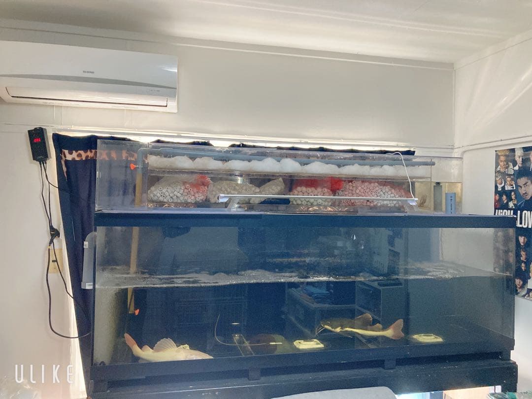 1800水槽フルセット 引き取り限定！ 少し直す必要あり、水漏れ。