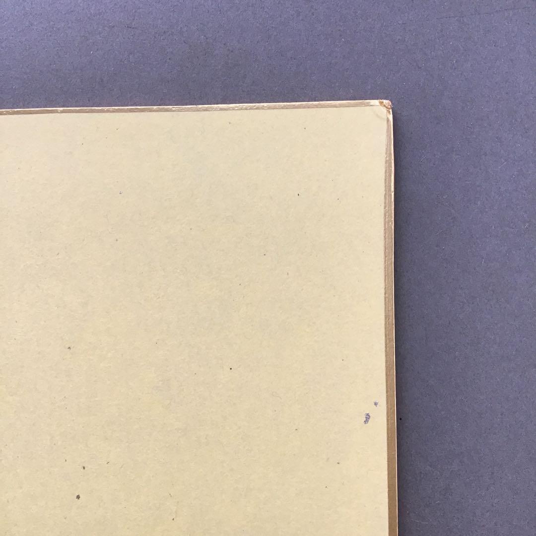 ⭐️色紙　「寿」と山の絵　畳紙　配送用袋　S1032SS