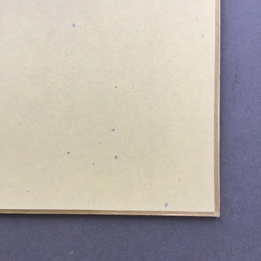 ⭐️色紙　「寿」と山の絵　畳紙　配送用袋　S1032SS