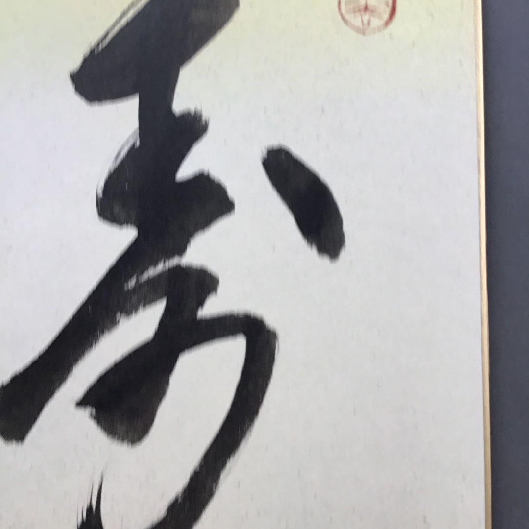 ⭐️色紙　「寿」と山の絵　畳紙　配送用袋　S1032SS