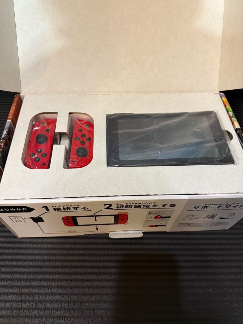 switch オデッセイモデル　キャリングケース付き