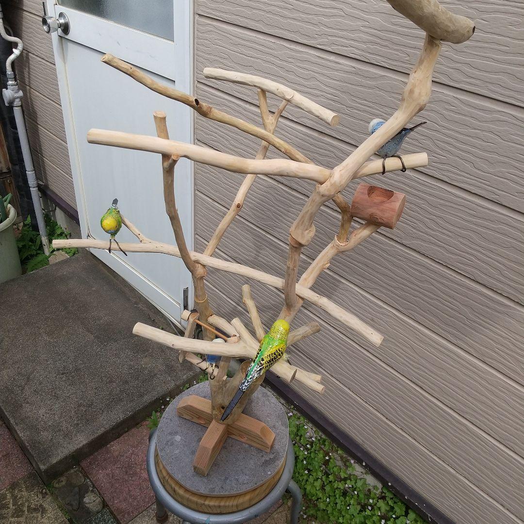 小鳥の楽園バードアスレチックツリージム