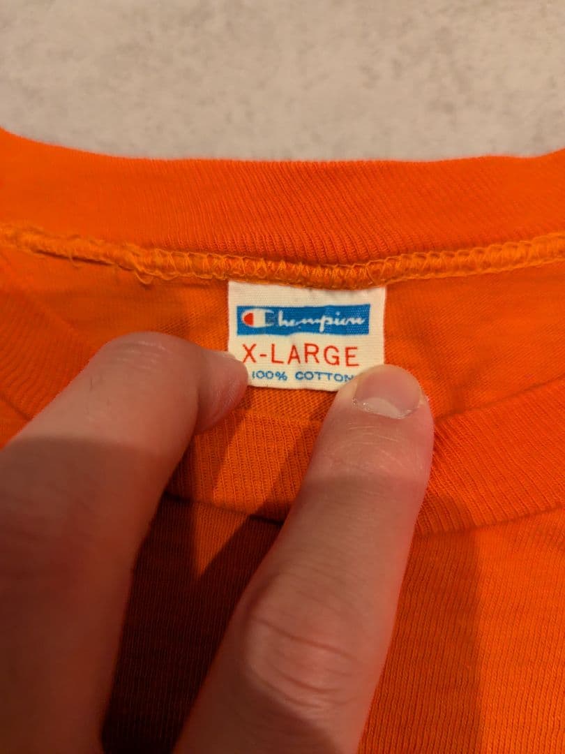 70s Champion BUFFALO STATE Tシャツ XL バータグ