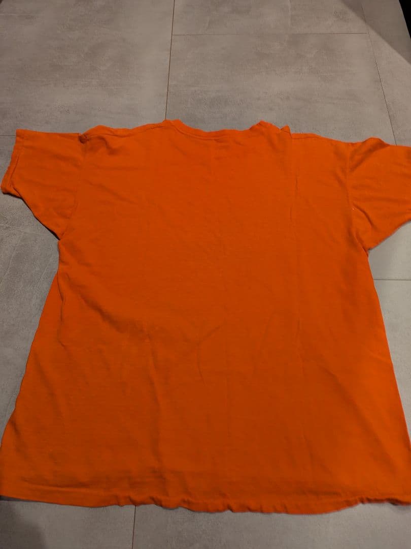 70s Champion BUFFALO STATE Tシャツ XL バータグ
