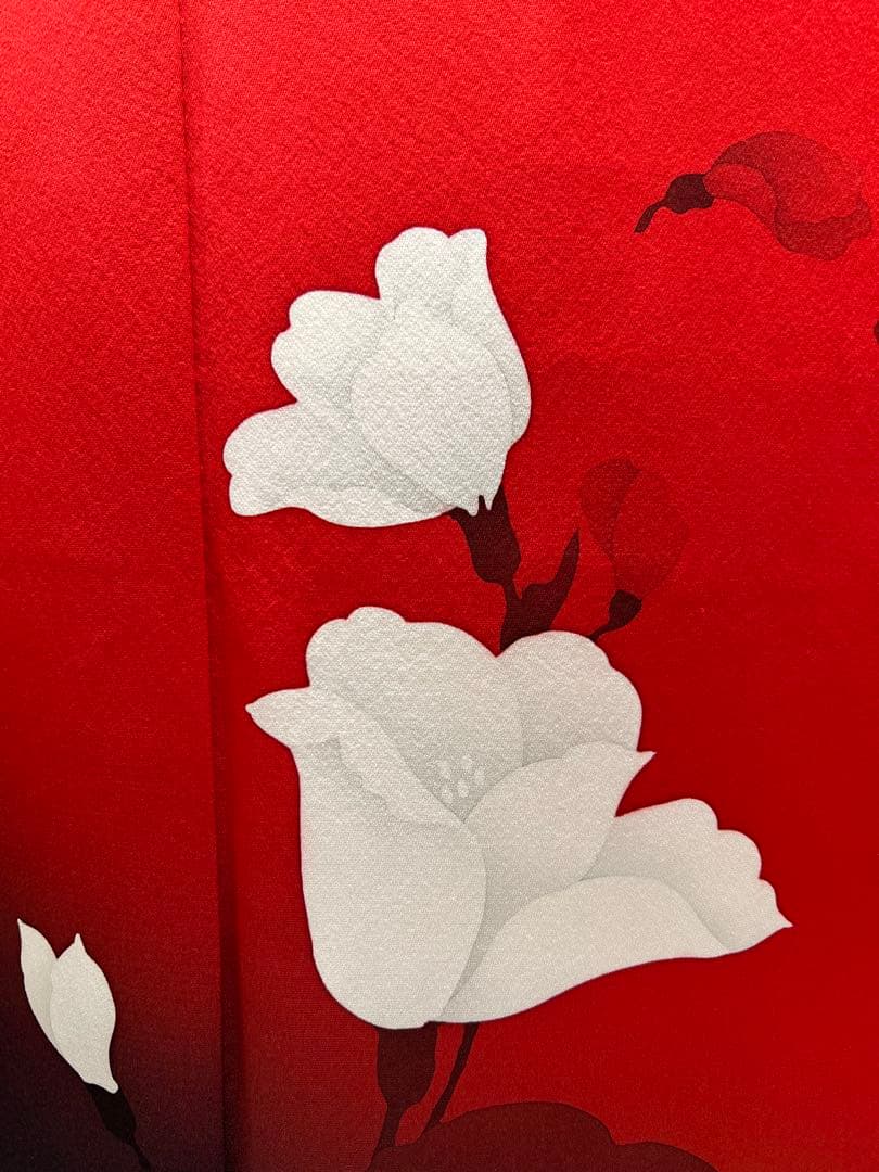 振り袖　フルセット　長襦袢付　赤　黒　ツートーン　成人式　パーティー　665