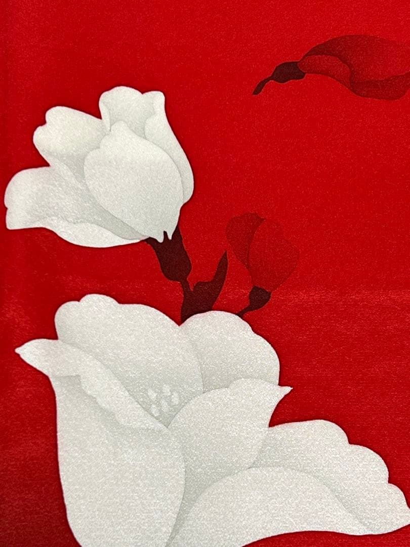 振り袖　フルセット　長襦袢付　赤　黒　ツートーン　成人式　パーティー　665