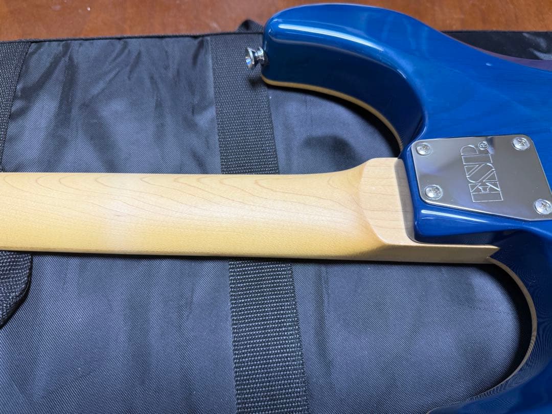 ESP Edwards ギター　snapper