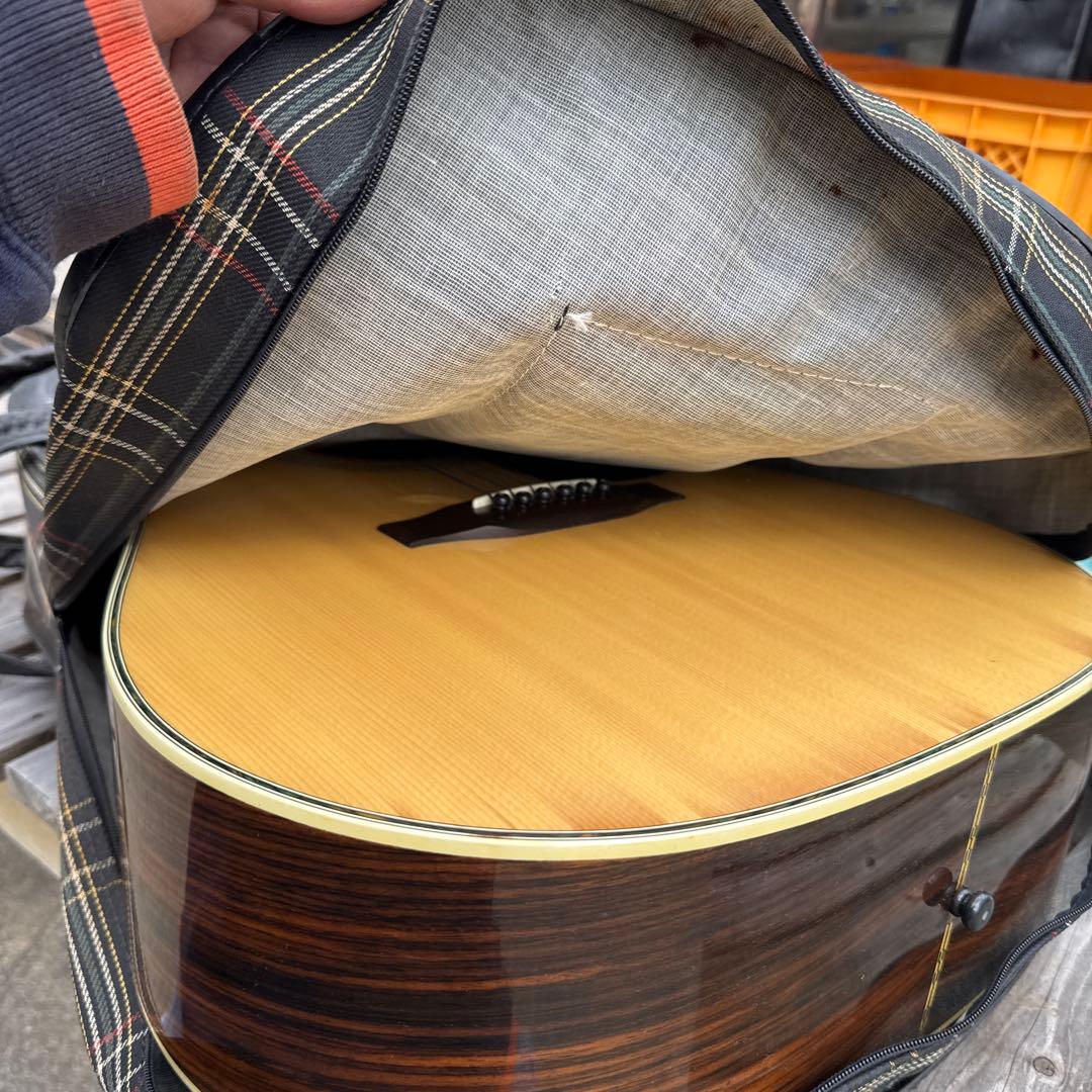 Morris モーリス W-25 アコースティックギター