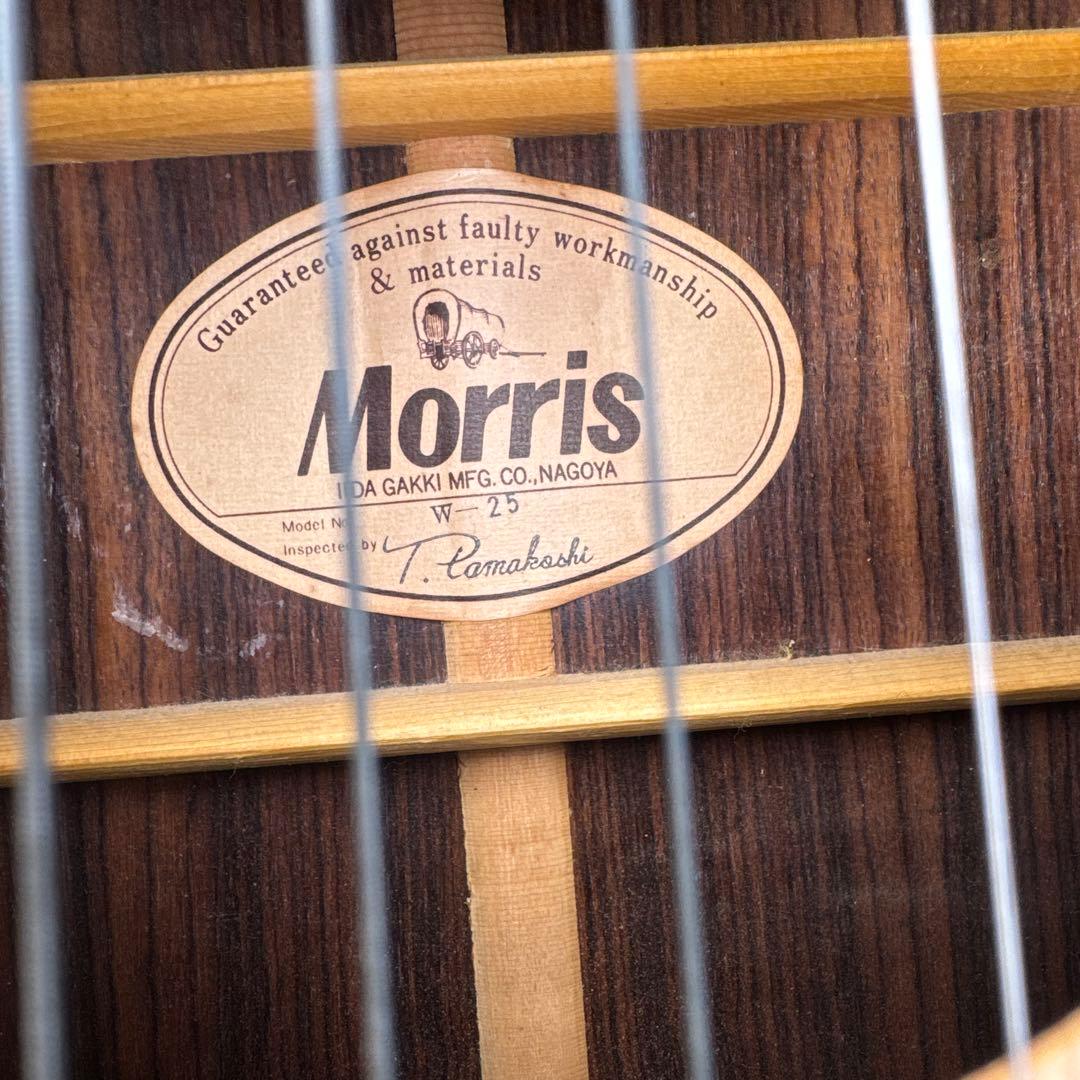 Morris モーリス W-25 アコースティックギター