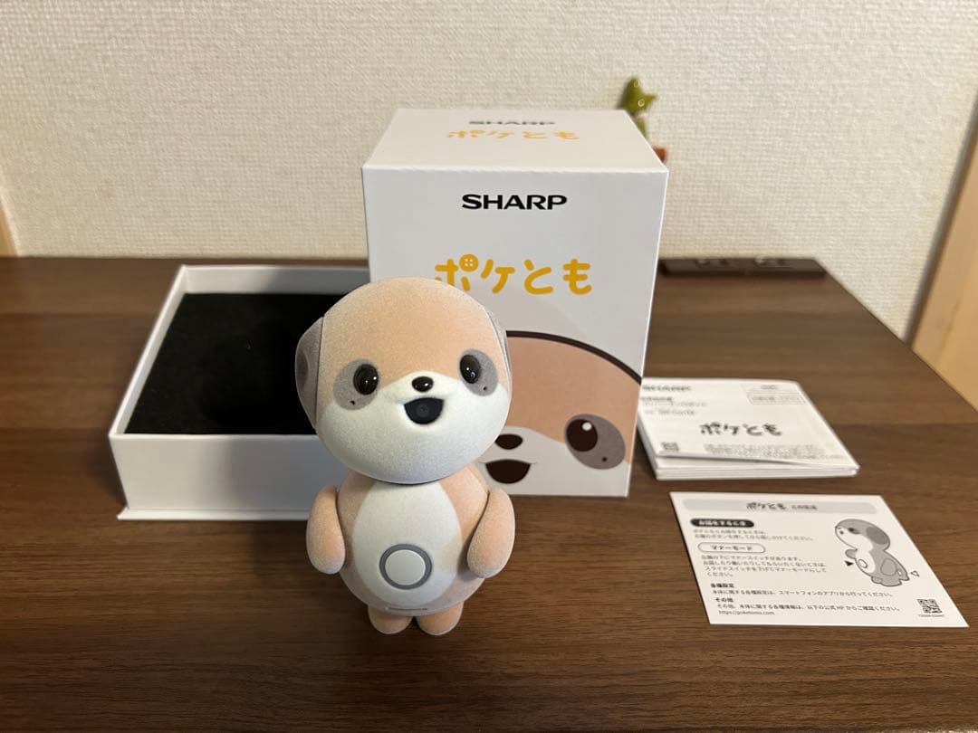 ポケとも　本体