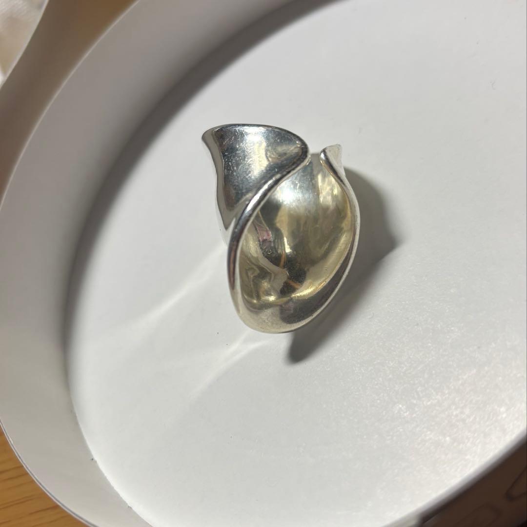 ガーデンオブエデン　ショパン　ライトフィンガー　アーマーリング　セカオワ深瀬着用