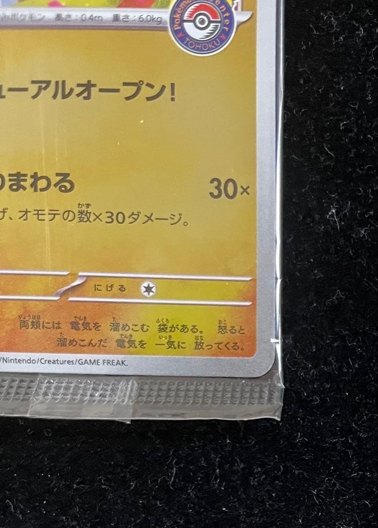 トウホクのピカチュウ 未開封　②