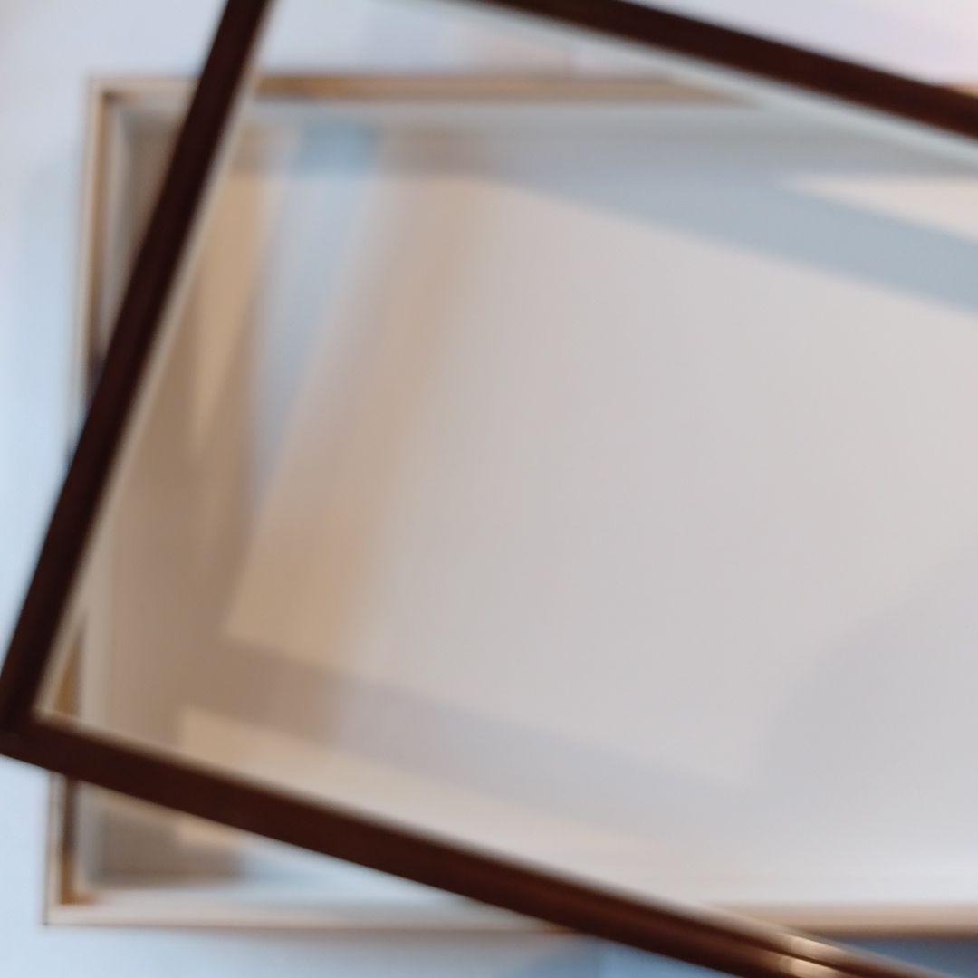 標本箱　ドイツ箱中型　2個セット