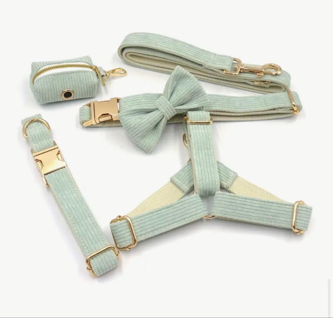 オーダー 名前 首輪 ミントグリーン ハーネス セット 犬 コーデュロイ