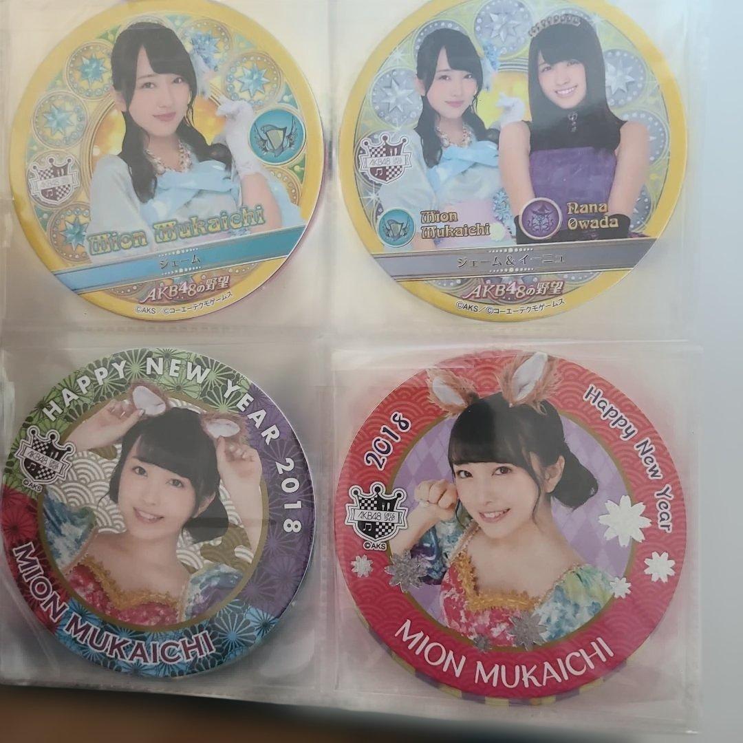 向井地美音 コースター