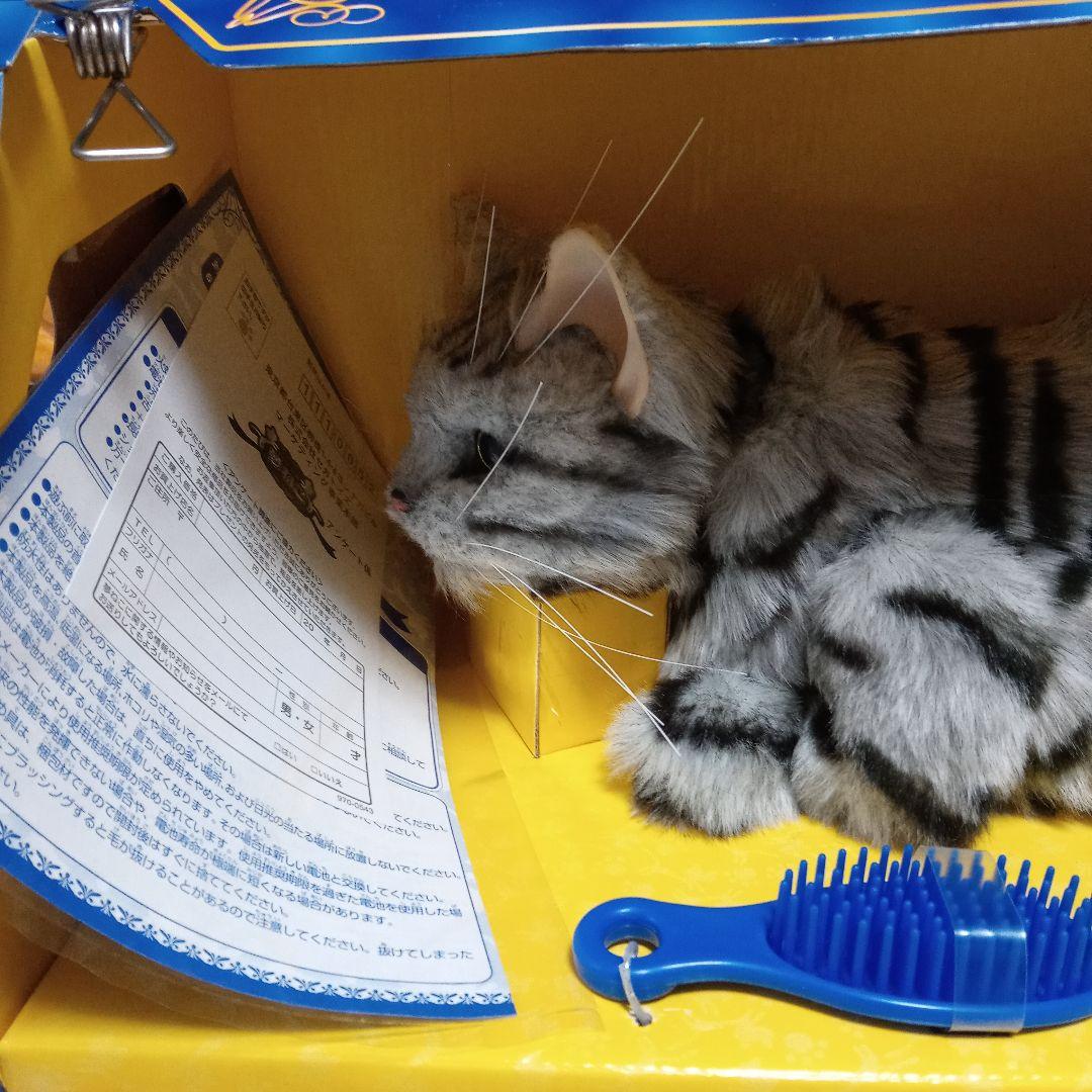 夢ねこ♡アメリカンショートヘア♡あなたのパートナー！　【新品未開封】