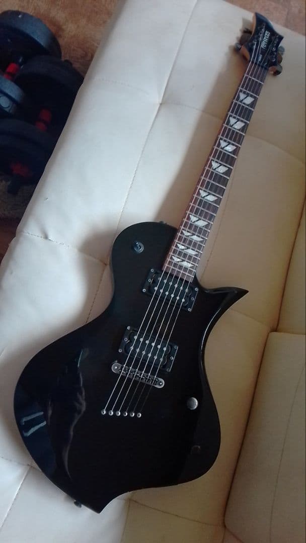 FERNANDES RAVELLE ソフトケース付き