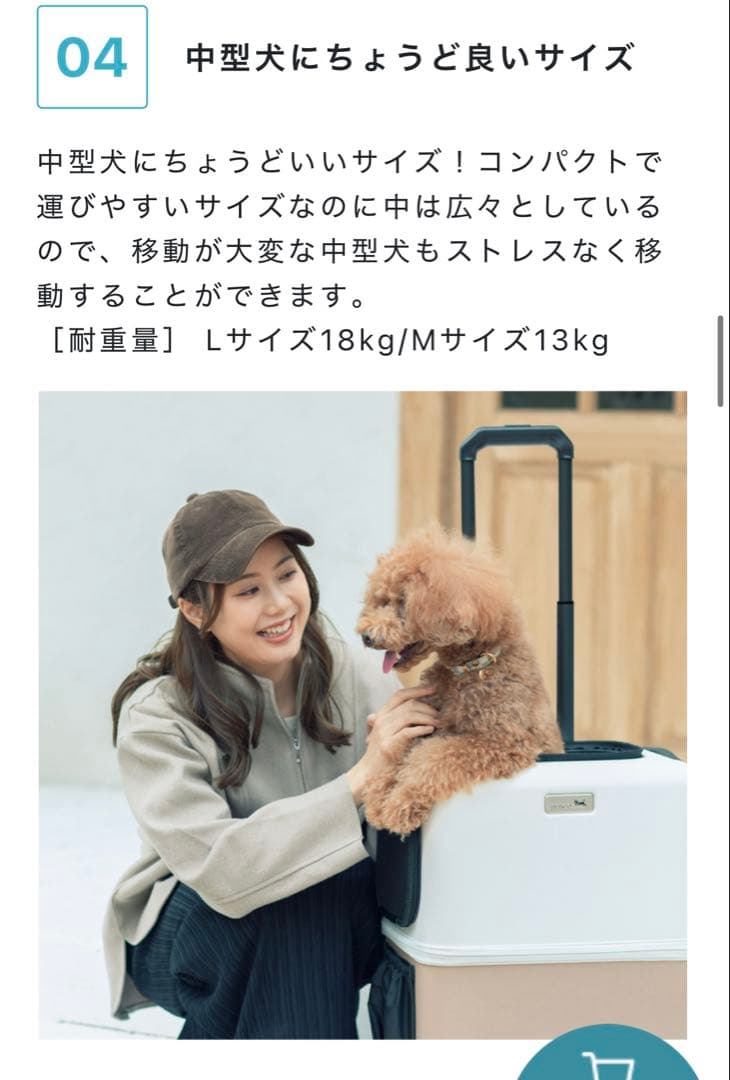 PETiCO ペットキャリー Mサイズ