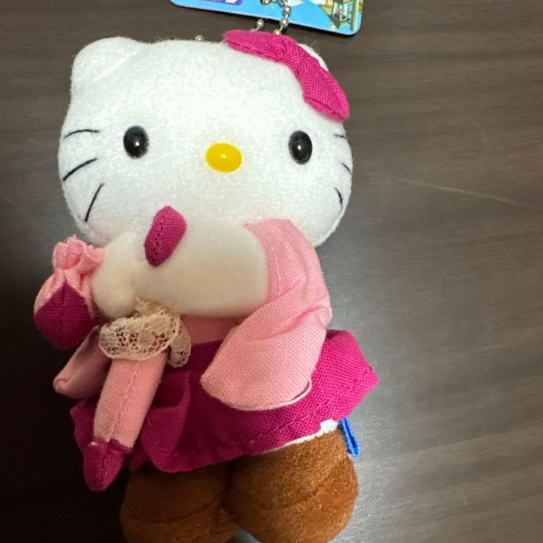 ⭐︎レア⭐︎ご当地ハローキティ 【愛媛】ぬいぐるみ マスコット2体セット