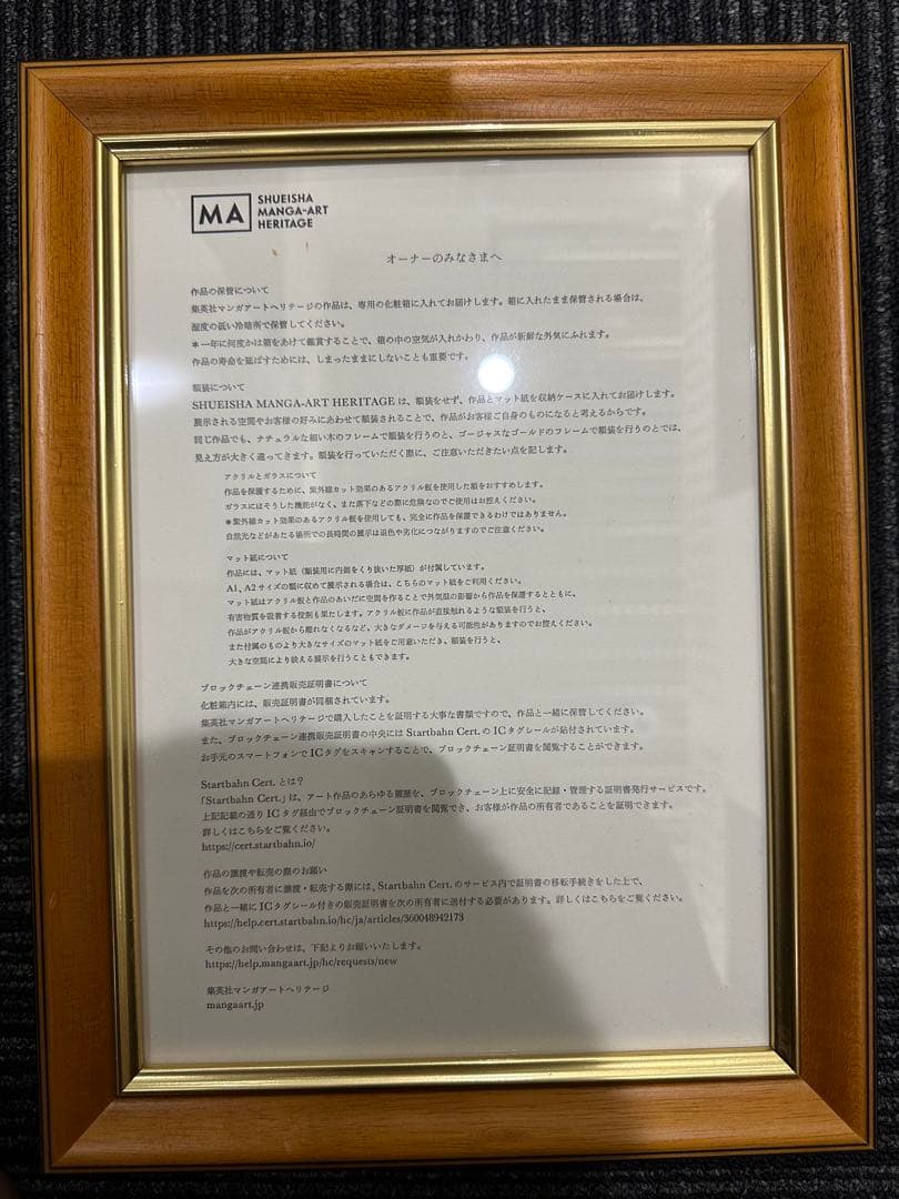 ワンピース　NFT 麦わらの海賊団