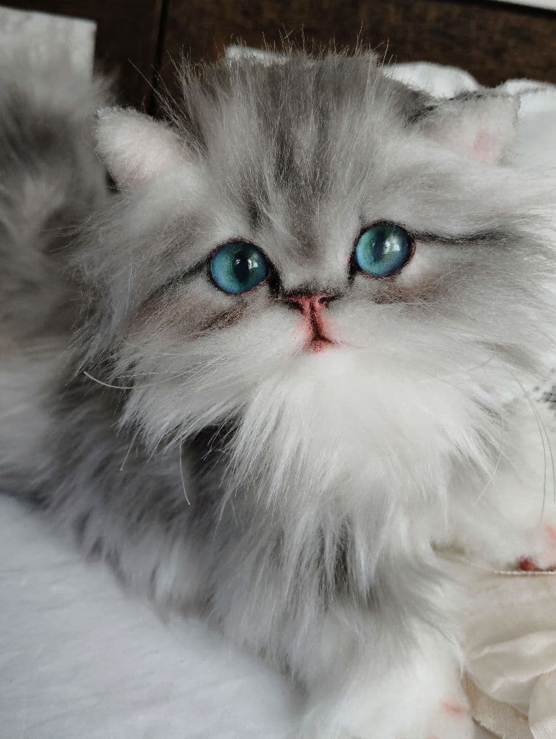 ミヌエット子猫ちゃん♡美人さん♡アートドール♡ぬいぐるみ♡大きめサイズ♡