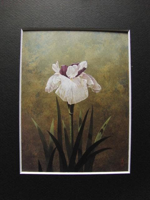 河合美江、花菖蒲、希少な画集より、新品高級額・額装付、状態良好