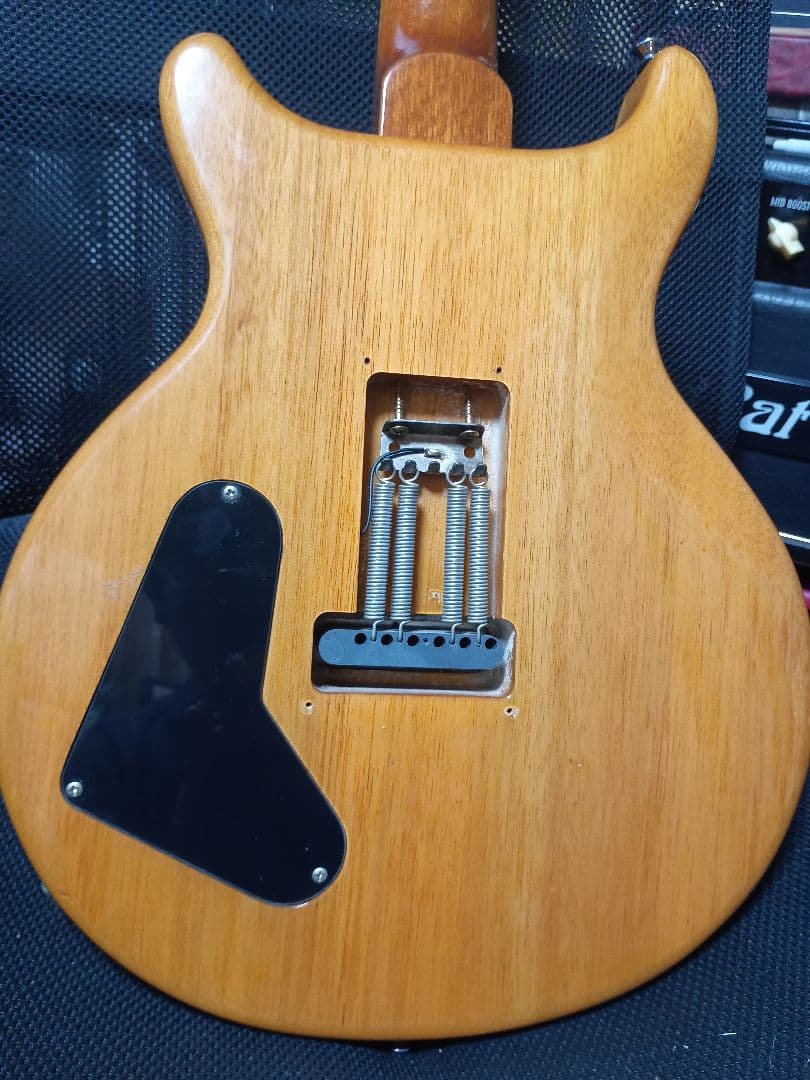 PRS SE Santana Orenge エレキギター