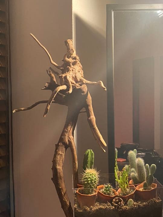 天然物 EVA系 人型 使徒 木製 デザイン インテリア