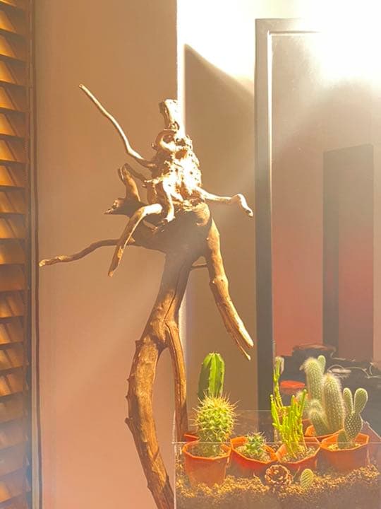 天然物 EVA系 人型 使徒 木製 デザイン インテリア