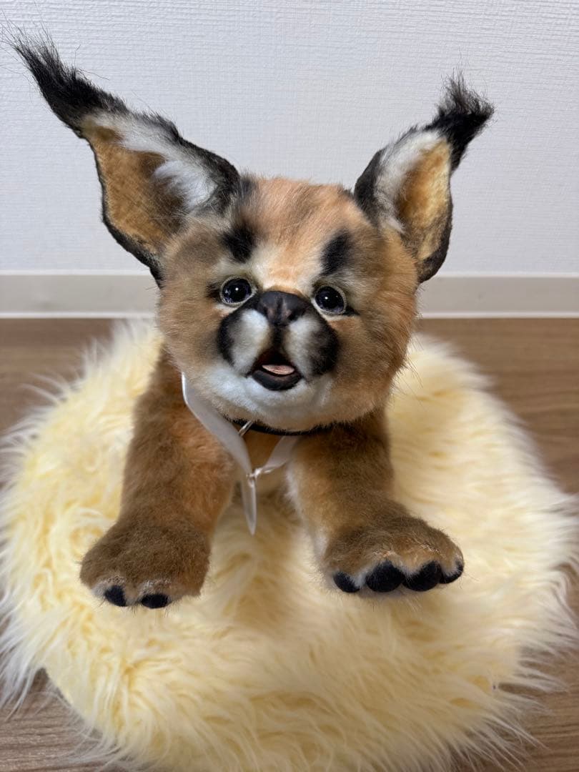 海外作家様作　アートドール　カラカル