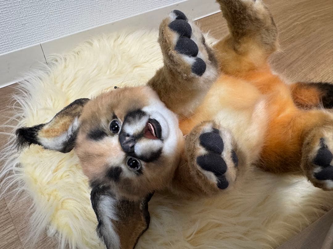 海外作家様作　アートドール　カラカル