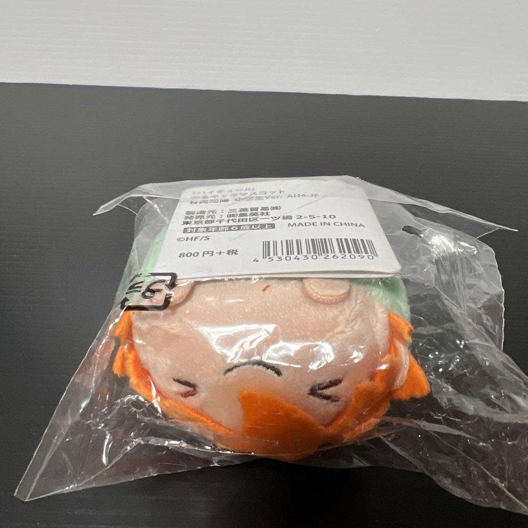 ハイキュー　のるキャラ　マスコット　日向翔陽　雪ヶ丘　中学生　Ver