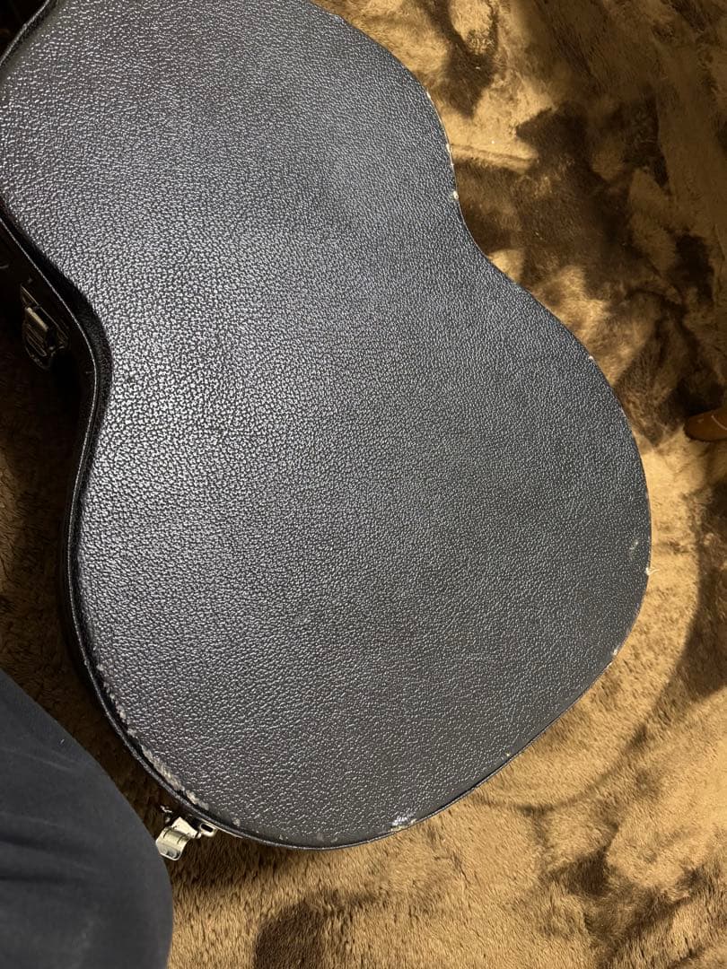 Taylor 214ce 純正ハードケース付き