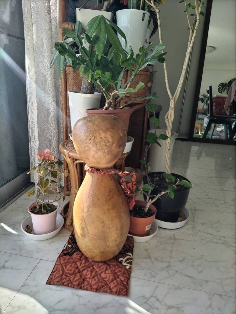 フラ好き仕立て人RUISYUI