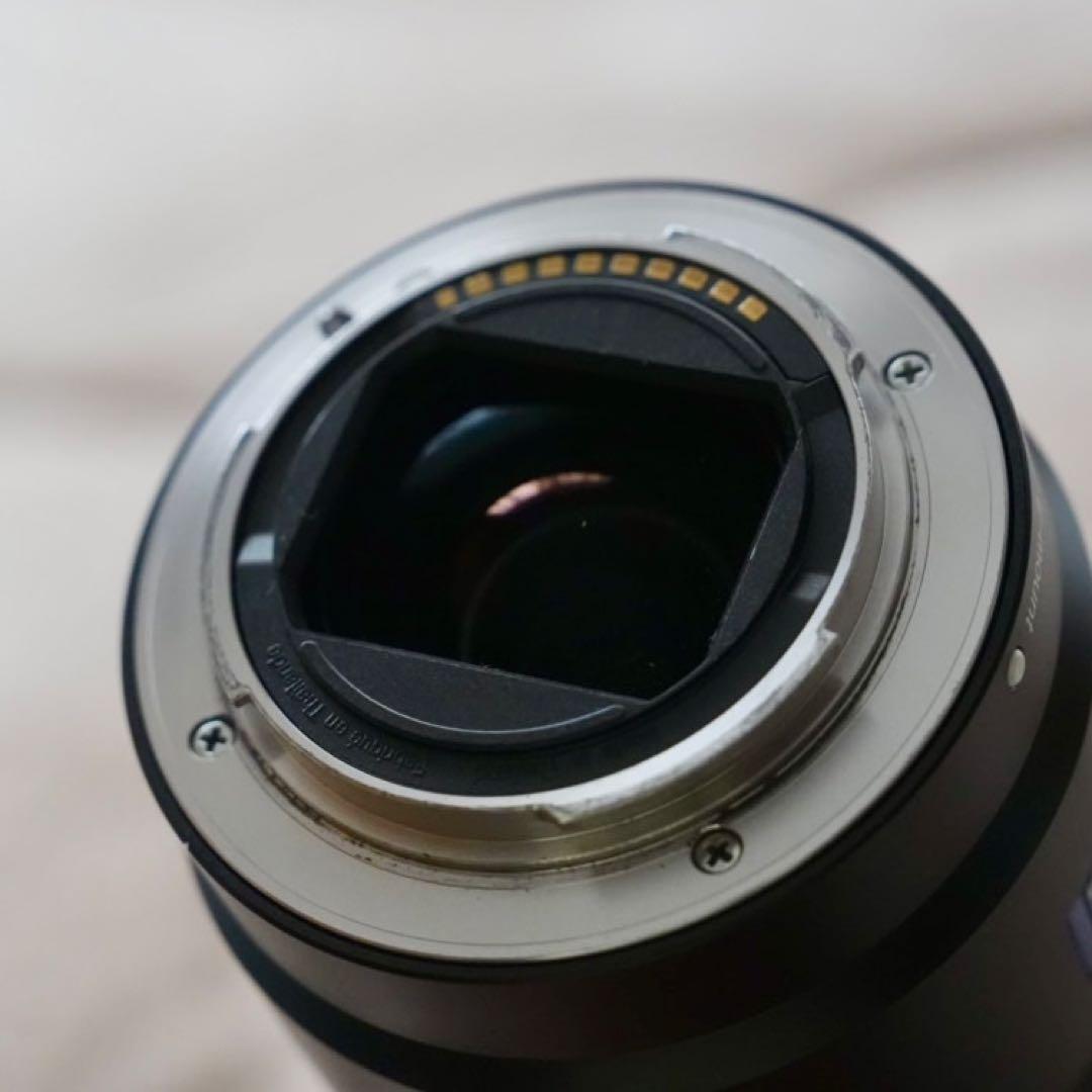 【神レンズ】ソニーEマウント　Sonnar T* FE 55mm F1.8 ZA