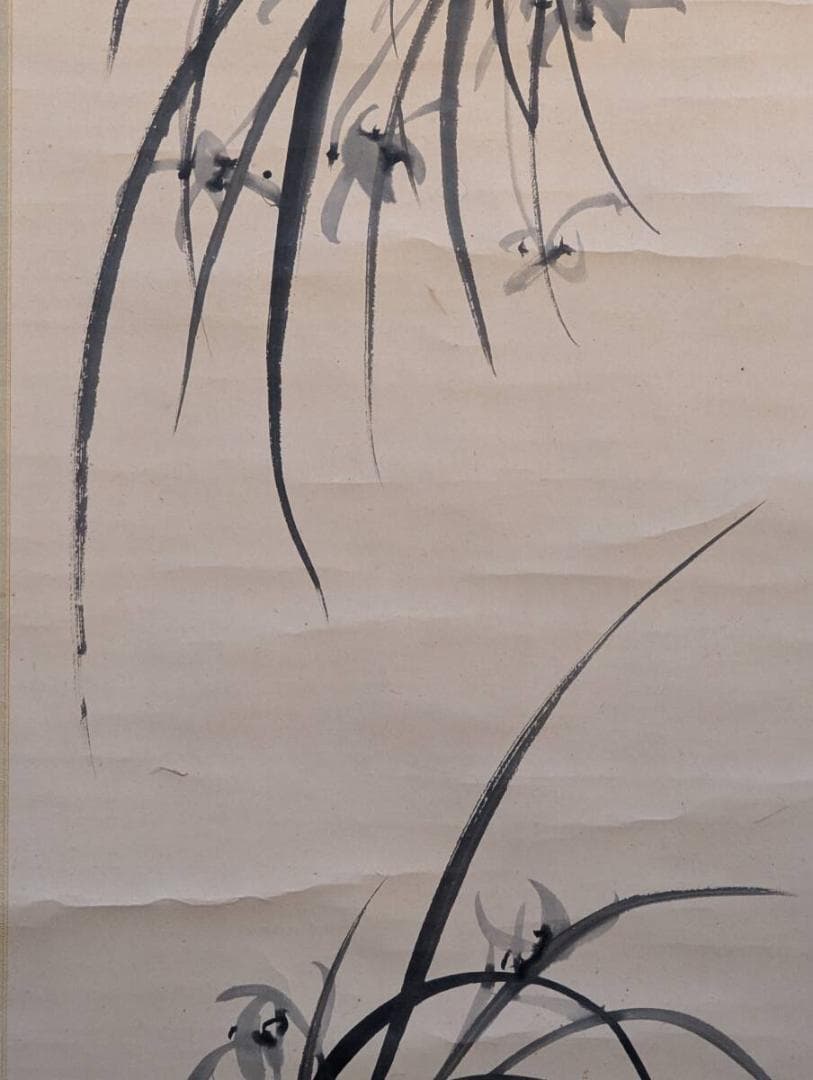 【真作】掛軸　墨蘭図　気品ある蘭の水墨画　静謐な気韻　高潔を描いた蘭図　T15