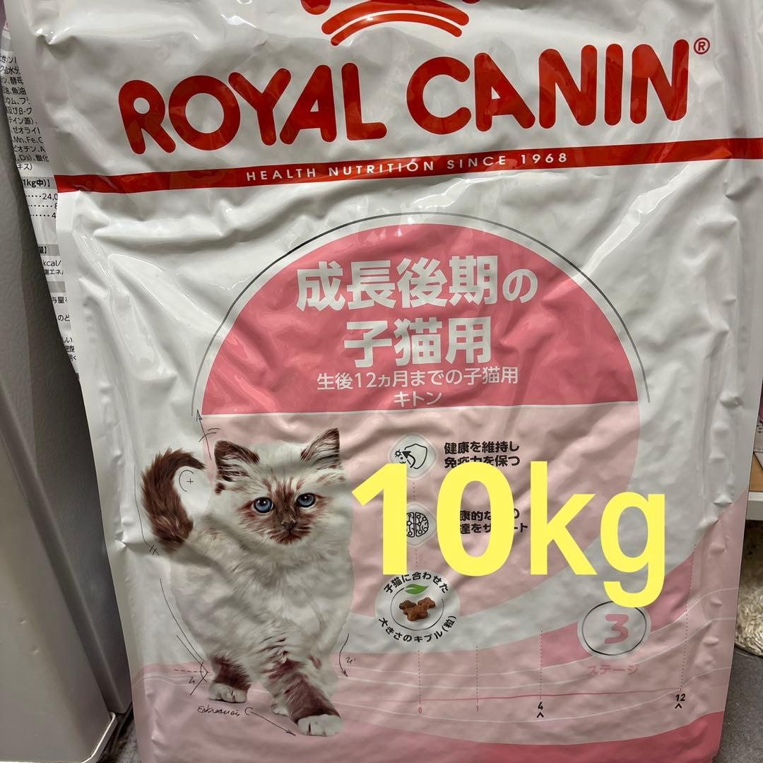  CANIN 成長後期の子猫用 10kg