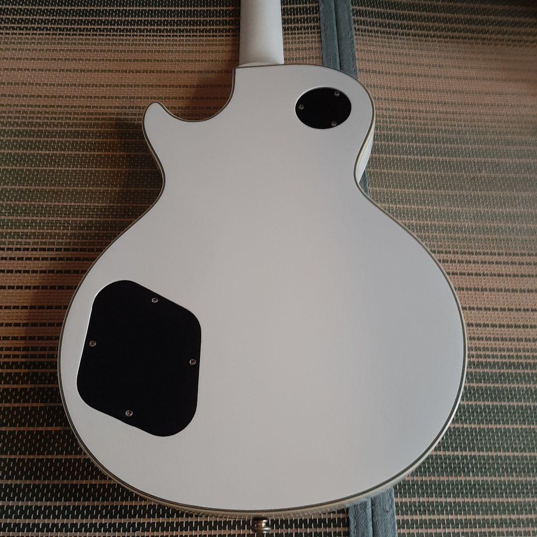 grassroots レスポール 弦新品張り替え済み ソフトケース付き